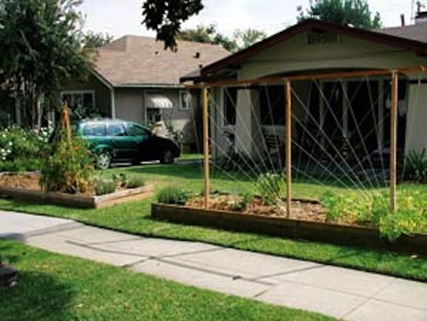 Neighbors love to visit third prize winner Christopher Brandow’s front yard vegetable garden; Pasadena, Calif.